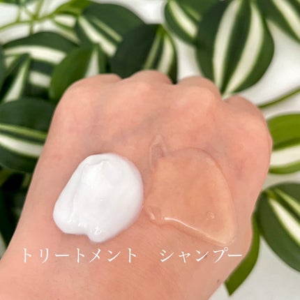 SIRTFL CC シャンプーモイスト/トリートメントモイスト/SIRTFL/市販シャンプーを使ったクチコミ(3枚目)