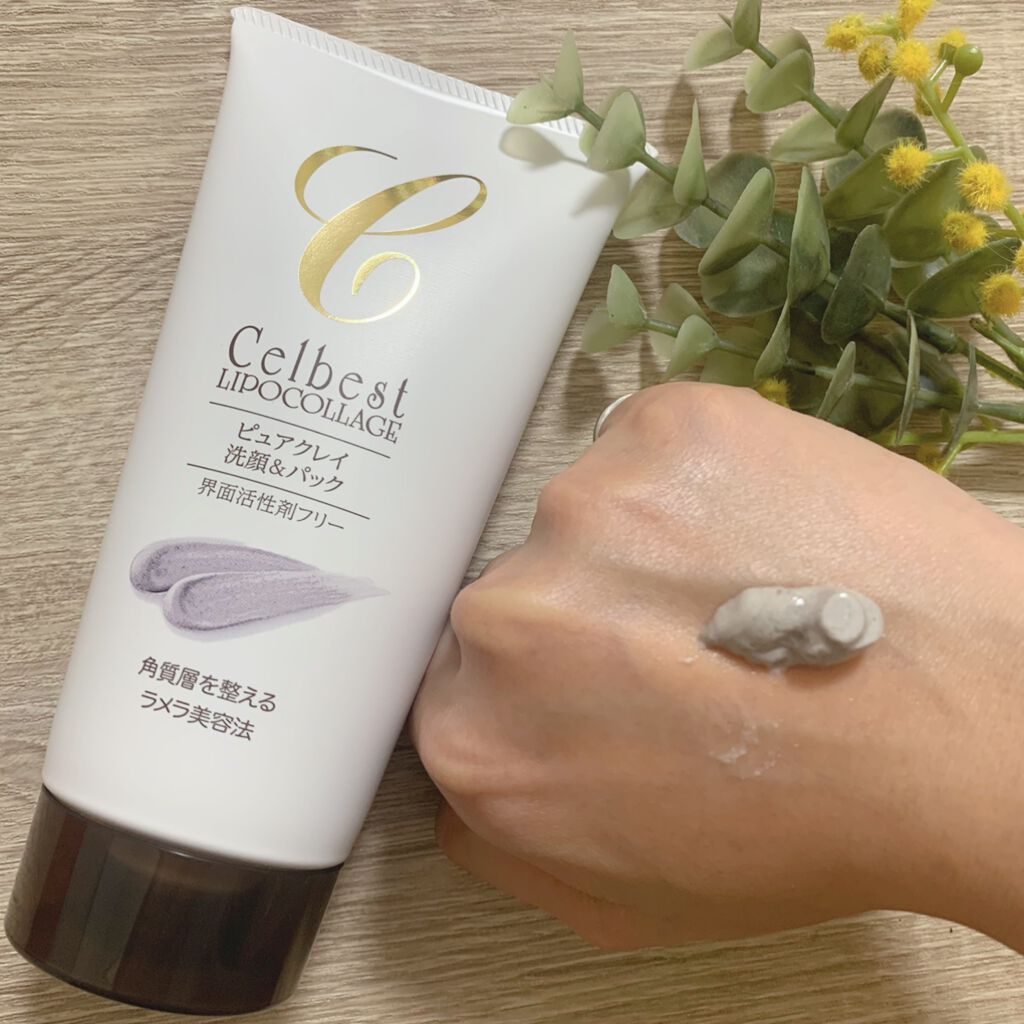 ピュアクレイ 洗顔&パック/セルベスト/洗顔フォームを使ったクチコミ(2枚目)