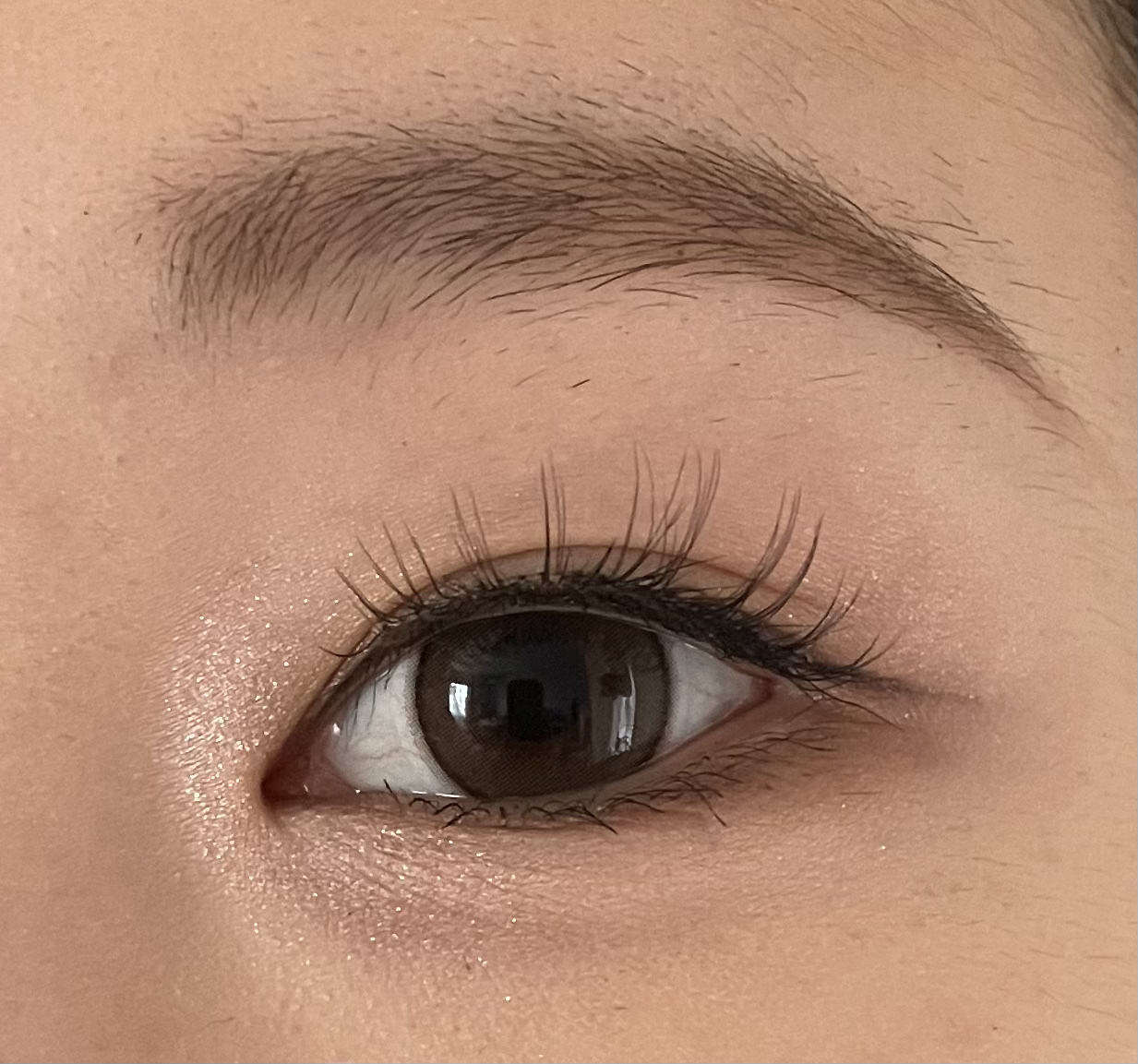 ラッシュオン/D-UP/つけまつげを使ったクチコミ（3枚目）