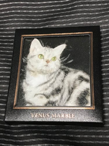 Venus Marble アイシャドウキャットシリーズ/Venus Marble/パウダーアイシャドウを使ったクチコミ（1枚目）