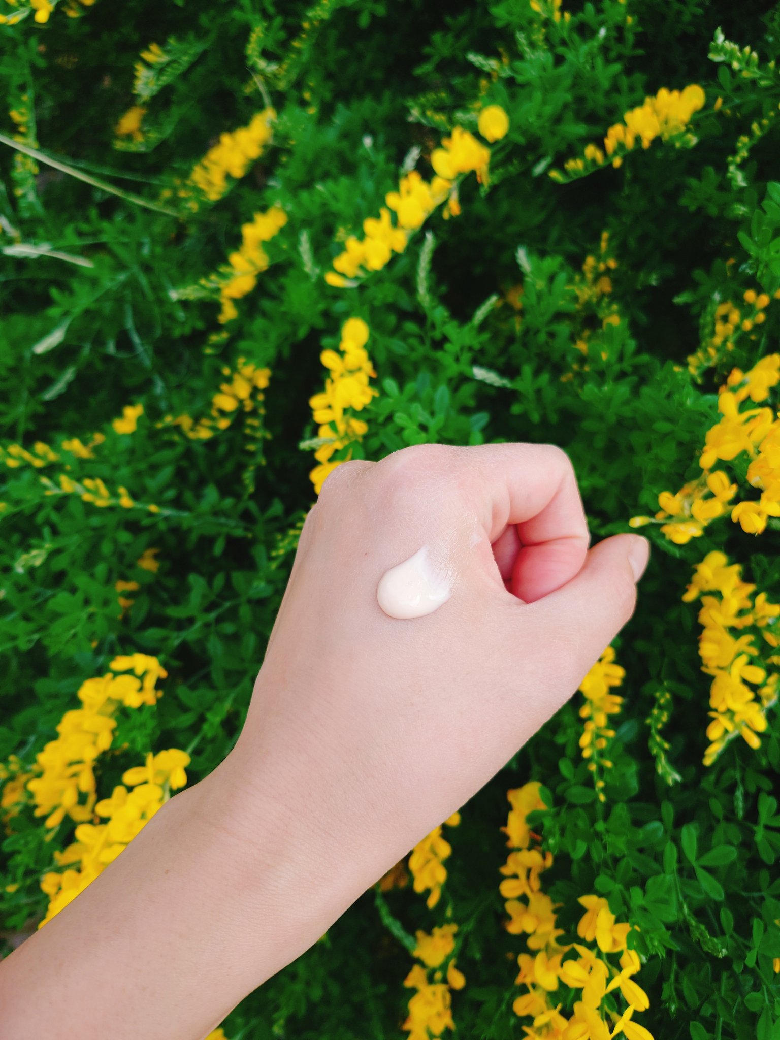 ナイアミドUVデイクリーム/SHIRORU/日焼け止めクリームを使ったクチコミ（3枚目）