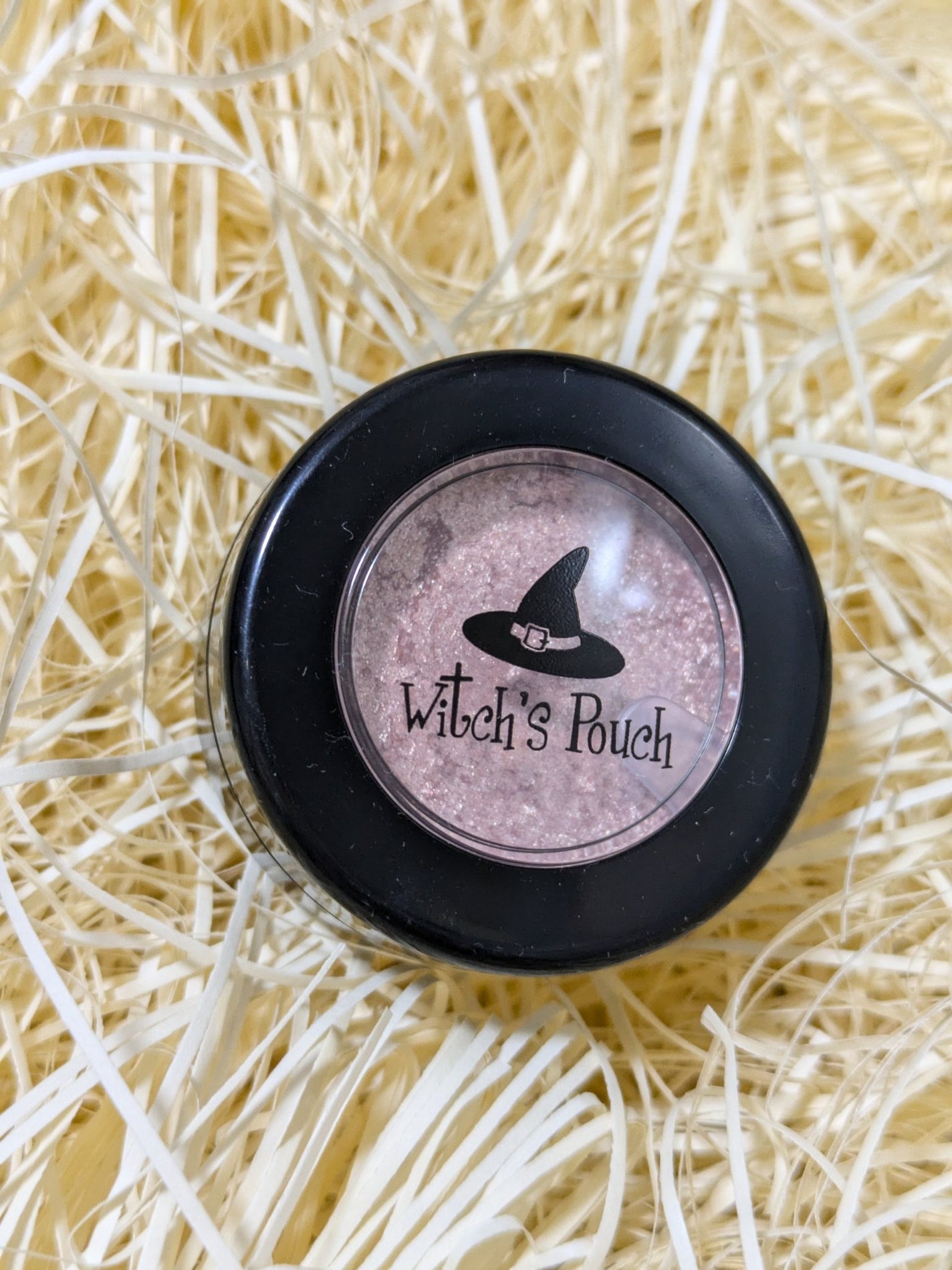 セルフィーフィックスピグメント/Witch's Pouch/単色アイシャドウを使ったクチコミ(1枚目)