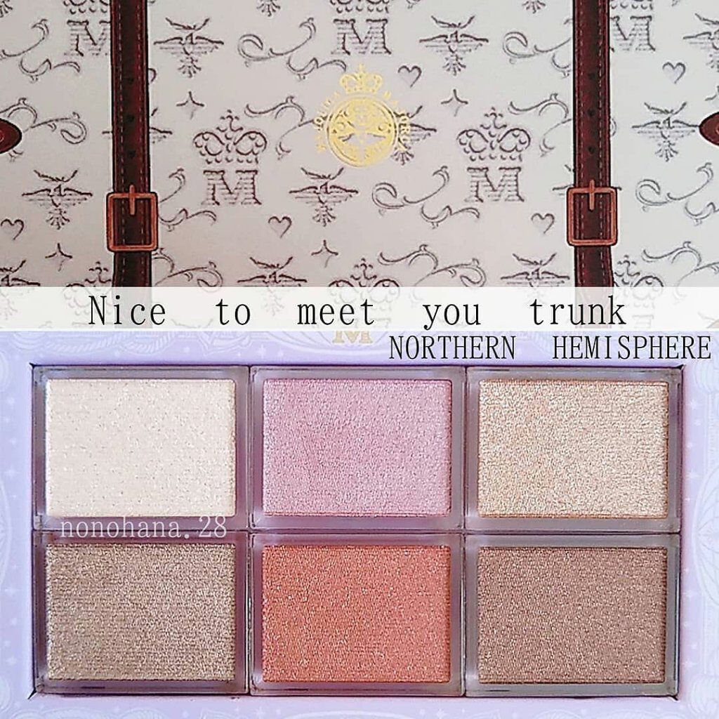 ナイストゥミーチュートランク/MAJOLICA MAJORCA/アイシャドウパレットを使ったクチコミ（1枚目）