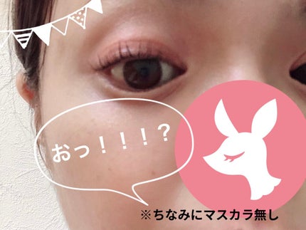 セルフまつ毛パーマキット/シルキーロールズ/その他キットセットを使ったクチコミ(4枚目)