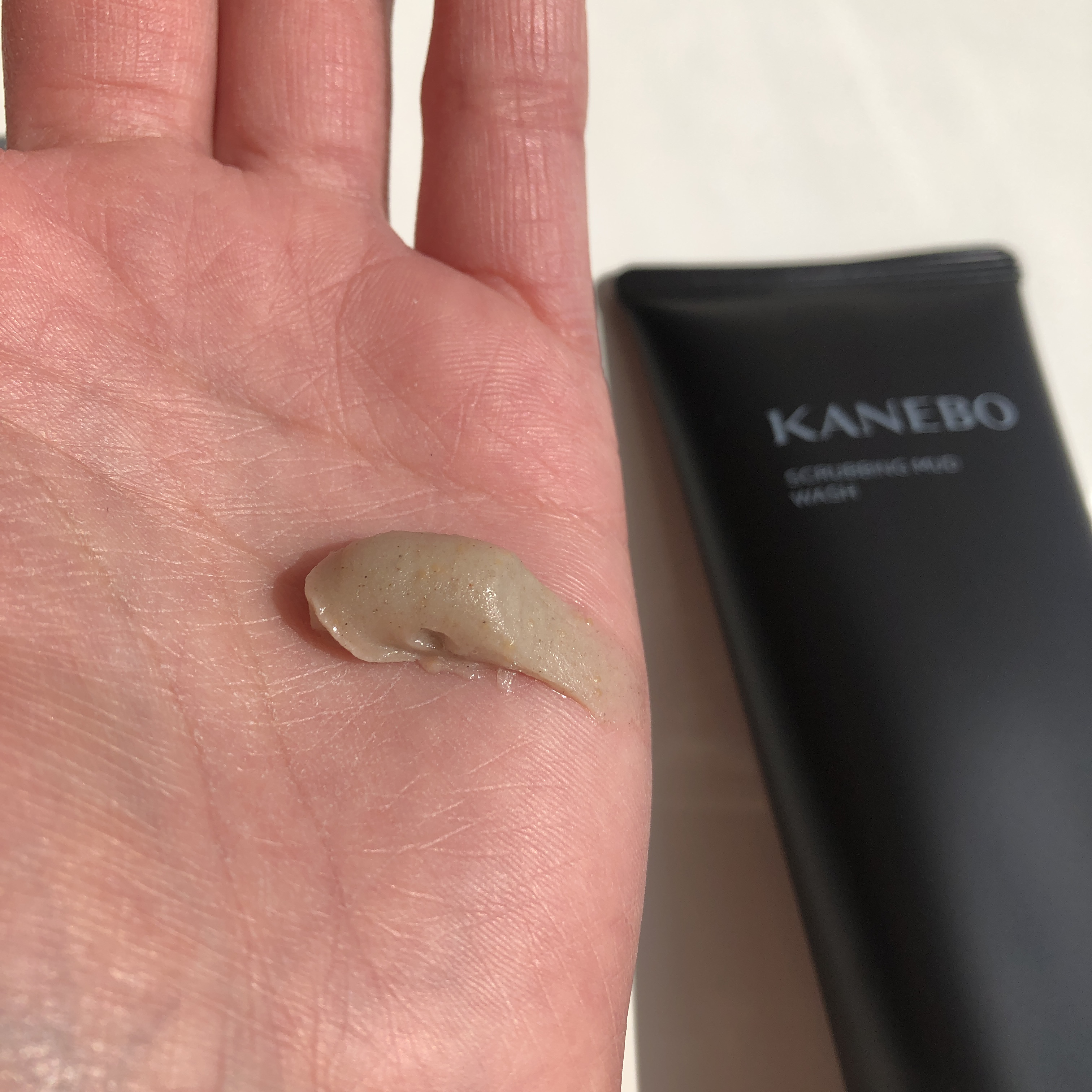 スクラビング　マッド　ウォッシュ/KANEBO/洗顔フォームを使ったクチコミ（2枚目）