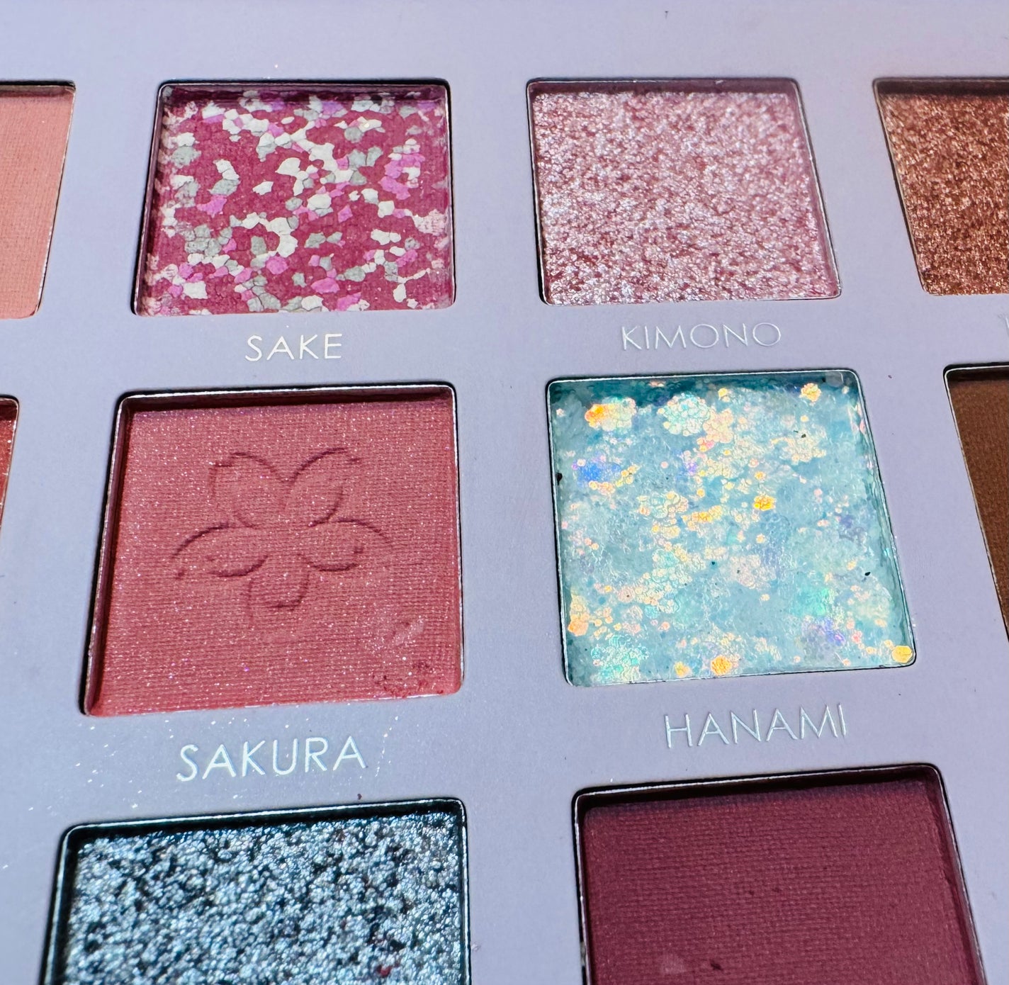 GO TRAVEL 15色アイシャドウパレット/FOCALLURE/アイシャドウパレットを使ったクチコミ(1枚目)