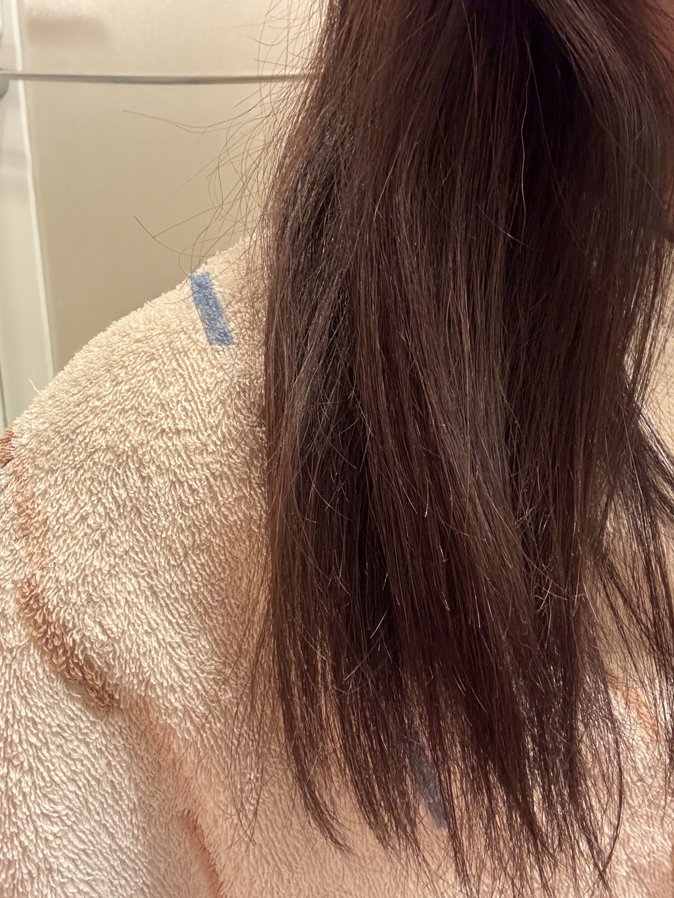 モイストアップ ジェル シャンプー/トリートメント/fuettarich (フエッタリッチ)/サロンシャンプーを使ったクチコミ（2枚目）