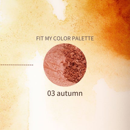 フィット my カラーパレット/STEIASUR(ステイアシュール)/マルチパレットを使ったクチコミ(1枚目)