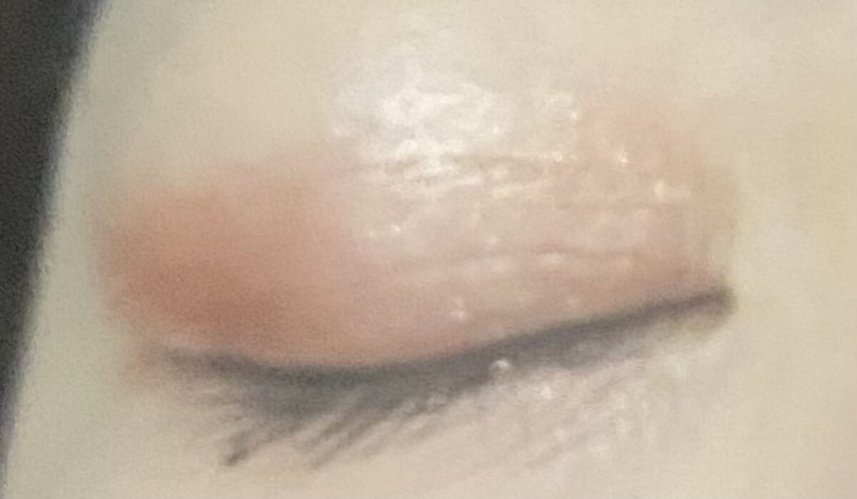 アンラップド ミニアイシャドーパレット ORGASM /NARS/アイシャドウパレットを使ったクチコミ（3枚目）