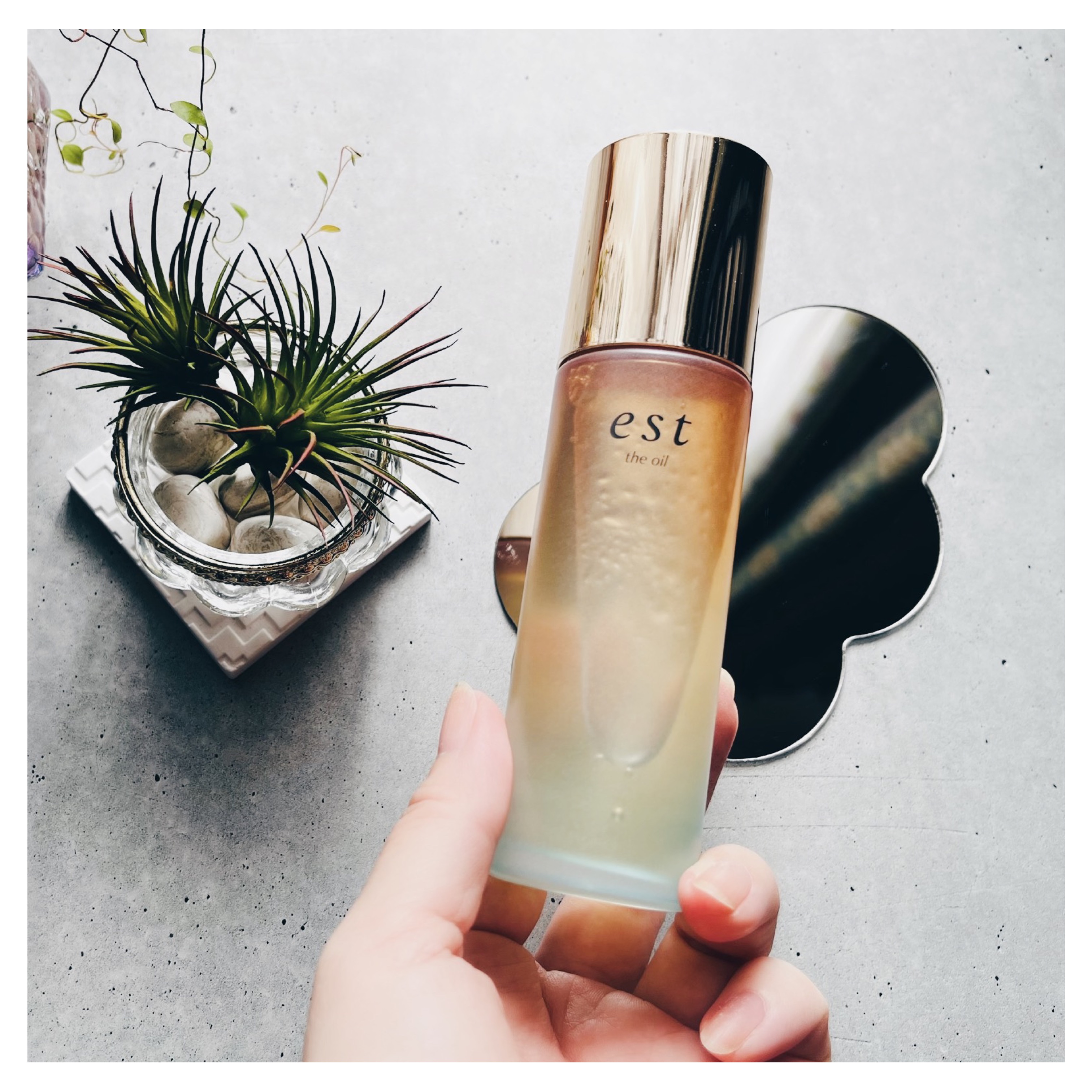 ザ オイル/est/フェイスオイルを使ったクチコミ（3枚目）