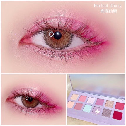 エクスプローラ12色 動物アイシャドウパレット/PERFECT DIARY/アイシャドウパレットを使ったクチコミ(1枚目)