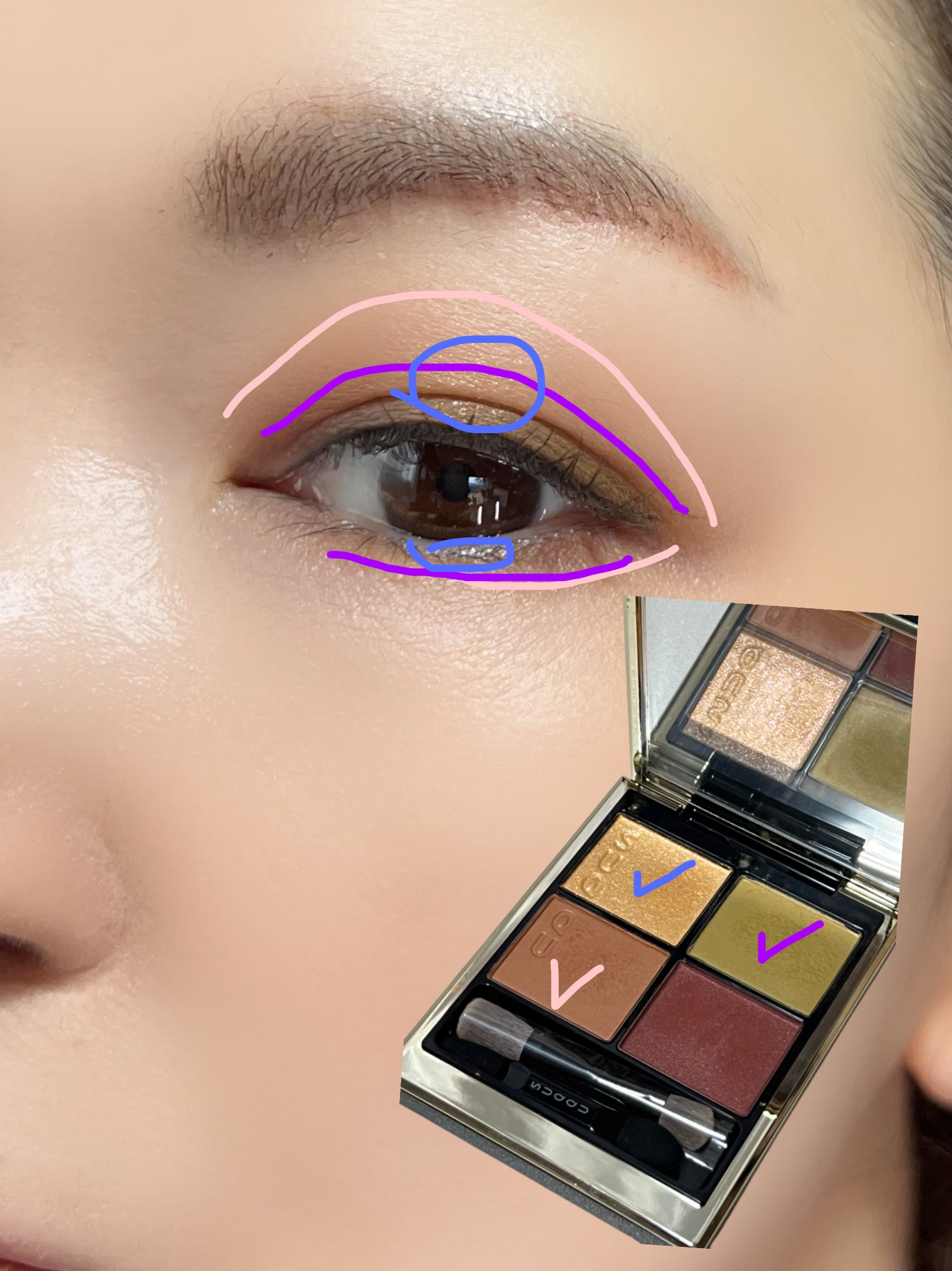 シグニチャー カラー アイズ 106 冴樹（限定色）/SUQQU/アイシャドウパレットを使ったクチコミ（3枚目）