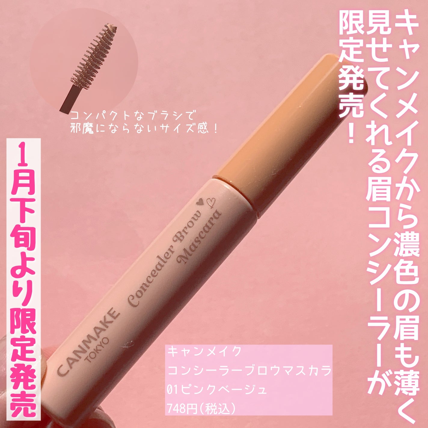 ã³ã³ã·ãŒã©ãŒãããŠãã¹ã«ã©/ãã£ã³ã¡ã€ã¯/ãã®ä»ã¢ã€ãããŠã䜿ã£ãã¯ãã³ãïŒ2æç®ïŒ