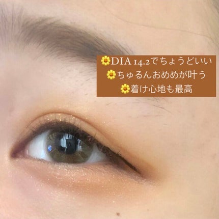Angelcolor Bambi Series Vintage 1day/AngelColor/ワンデー(1DAY)カラコンを使ったクチコミ(2枚目)