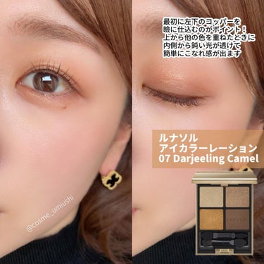 アイカラーレーション 07 Darjeeling Camel/LUNASOL/アイシャドウパレットを使ったクチコミ（1枚目）