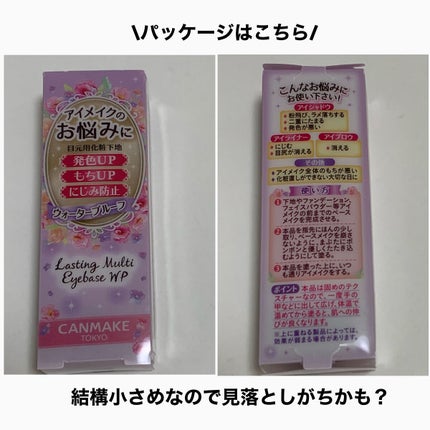 ラスティングマルチアイベース WP/キャンメイク/アイシャドウベースを使ったクチコミ(6枚目)