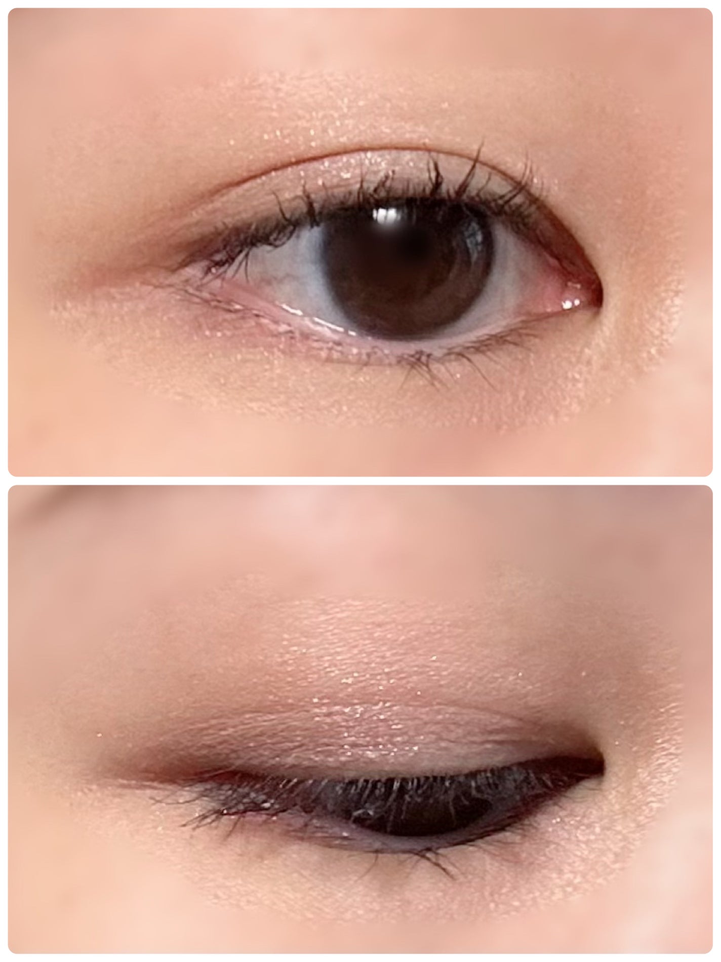 THE アイパレR/b idol/アイシャドウパレットを使ったクチコミ(2枚目)