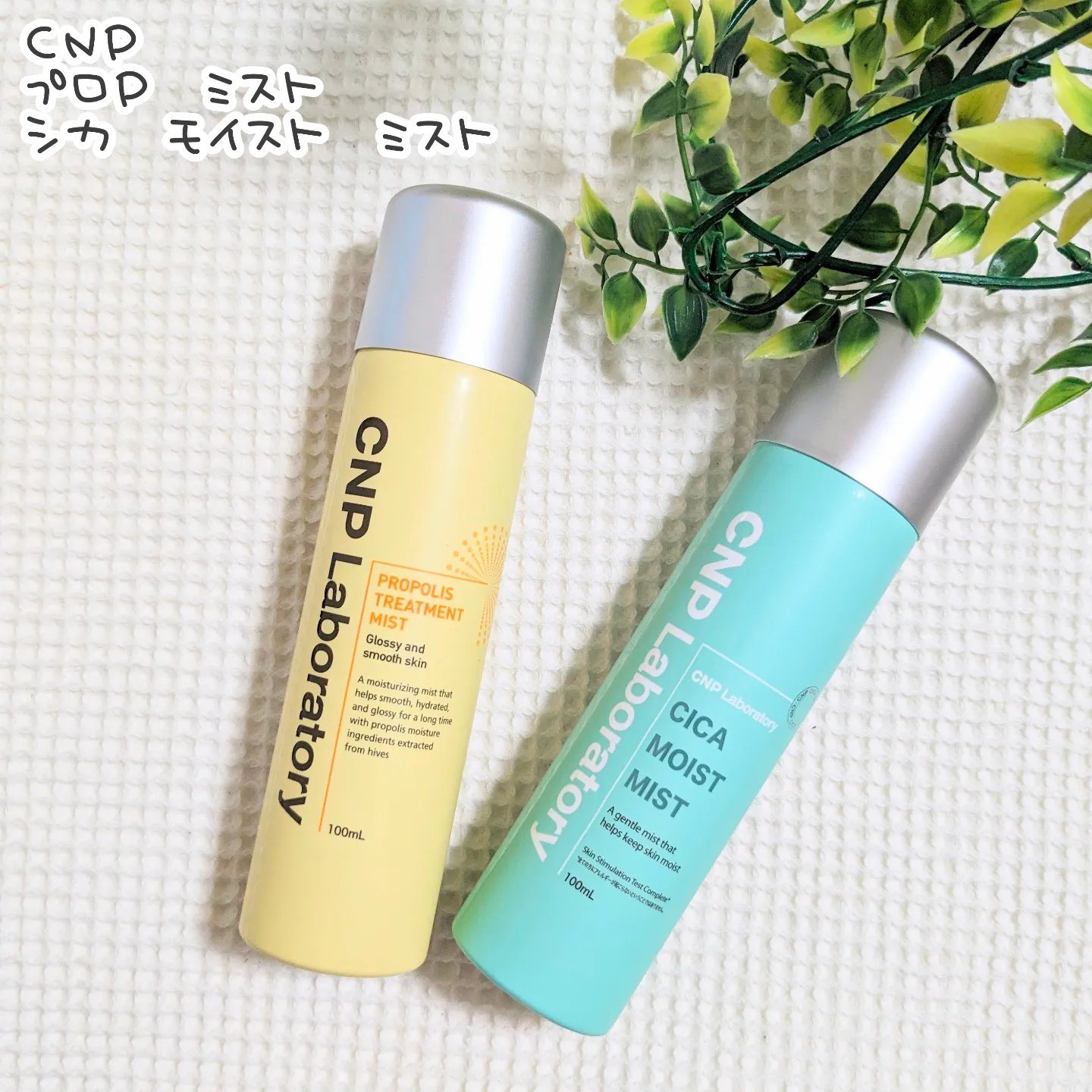 シカ モイスト ミスト/CNP Laboratory/化粧水を使ったクチコミ（1枚目）