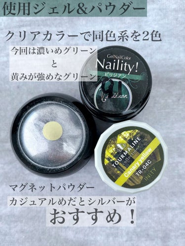 シルバーエフェクトパウダー/NAILTOWN/ネイルチップ・パーツを使ったクチコミ（2枚目）