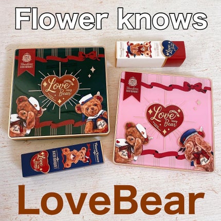 Love Bear 9色 アイシャドウパレット/FlowerKnows/アイシャドウパレットを使ったクチコミ(1枚目)