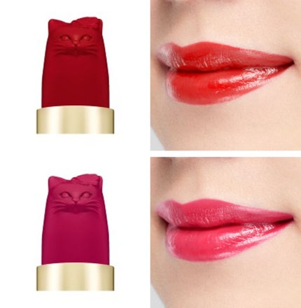 アニバーサリー リップスティック/PAUL & JOE BEAUTE/口紅を使ったクチコミ(5枚目)