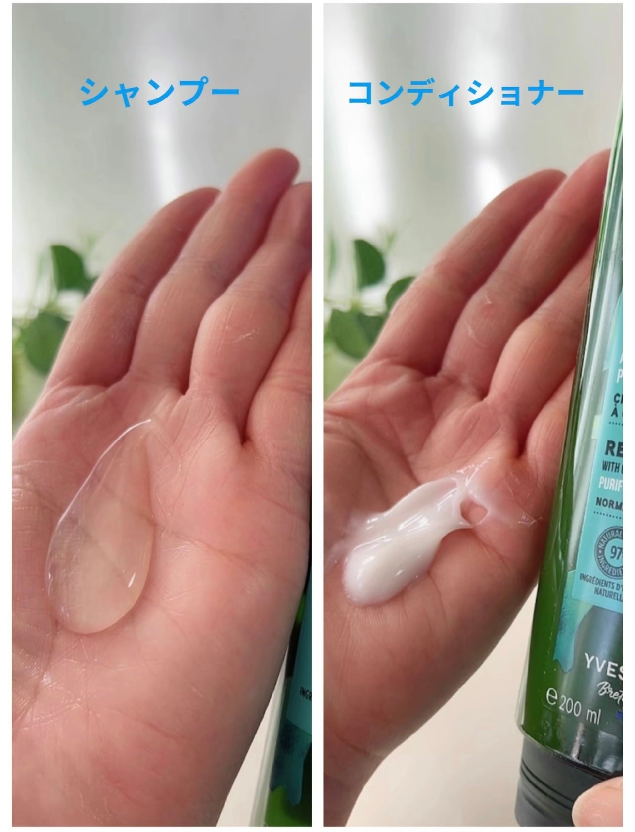 リンシングビネガー ピュアリフレッシュ うるツヤモリンガ /イヴ・ロシェ/洗い流すヘアトリートメントを使ったクチコミ(7枚目)