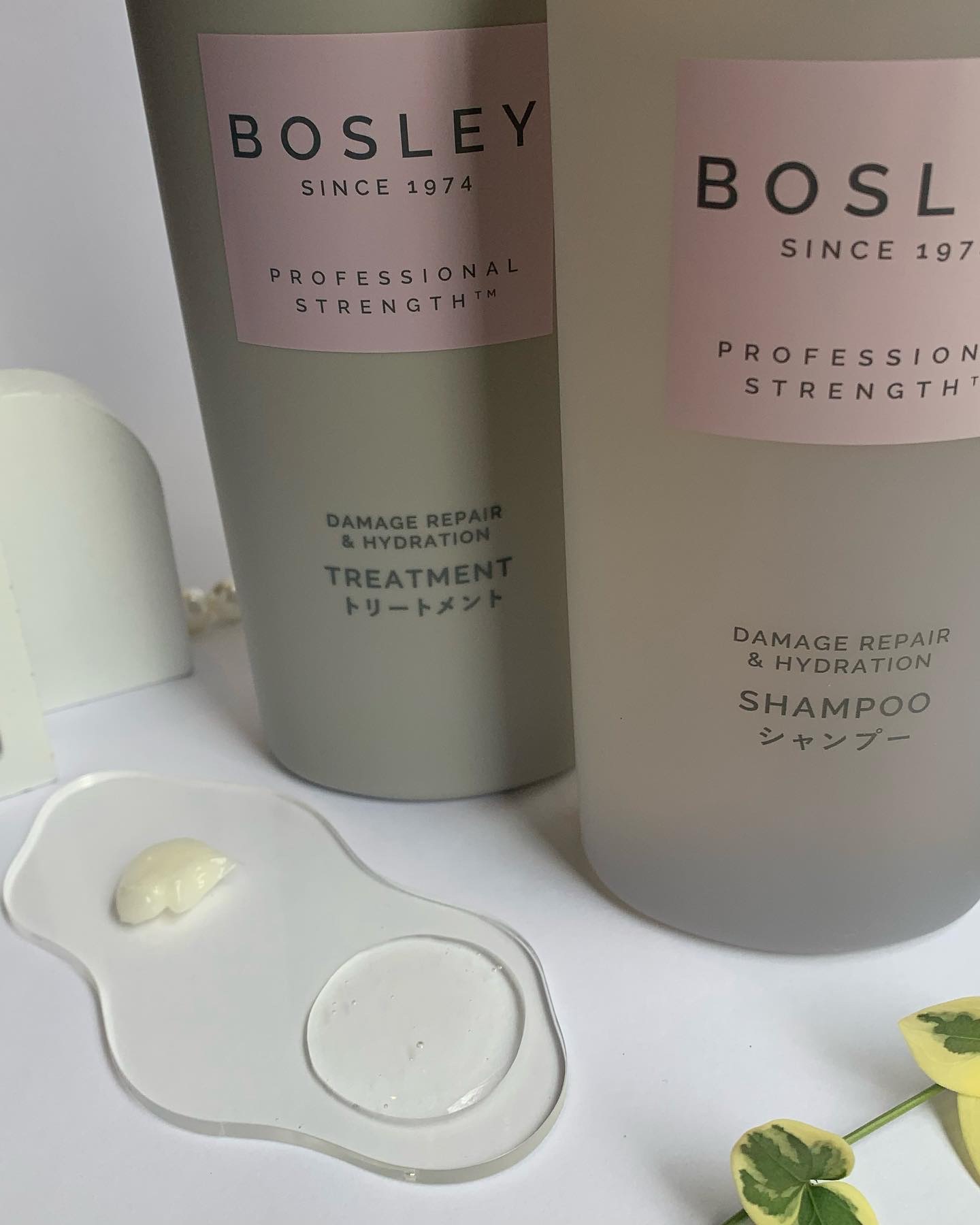 シャンプー/ ヘアトリートメント リラックスフラワーの香り/ボズレー/市販シャンプーを使ったクチコミ（2枚目）