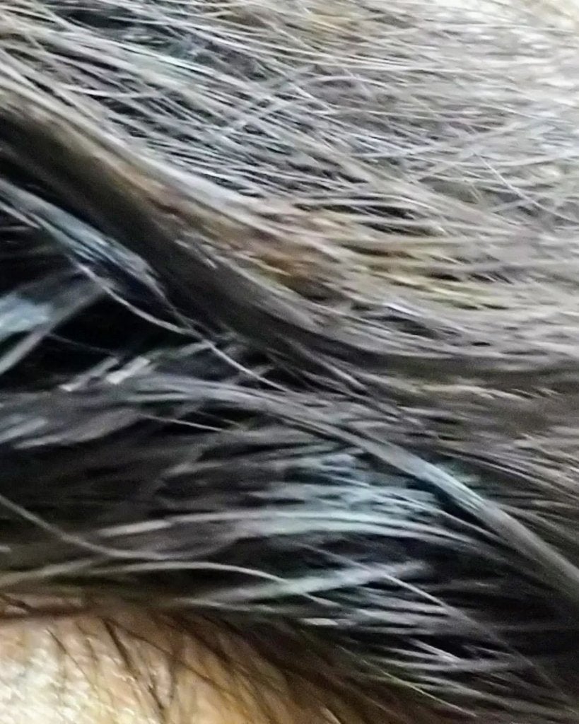 クレムドアン ブラウンクリームシャンプー/creme de Ann/市販シャンプーを使ったクチコミ(6枚目)