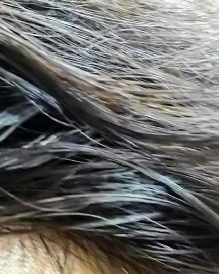 クレムドアン ブラウンクリームシャンプー/creme de Ann/市販シャンプーを使ったクチコミ(6枚目)