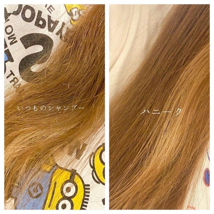 ディープリペア シャンプー モイスト/ヘアトリートメント モイスト/ハニーク/市販シャンプーを使ったクチコミ(6枚目)