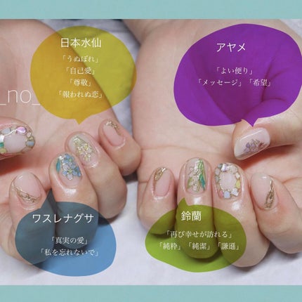 shino on LIPS 「気になったので調べてみました🌸ワスレナグサであの花のめんまを思..」(2枚目)