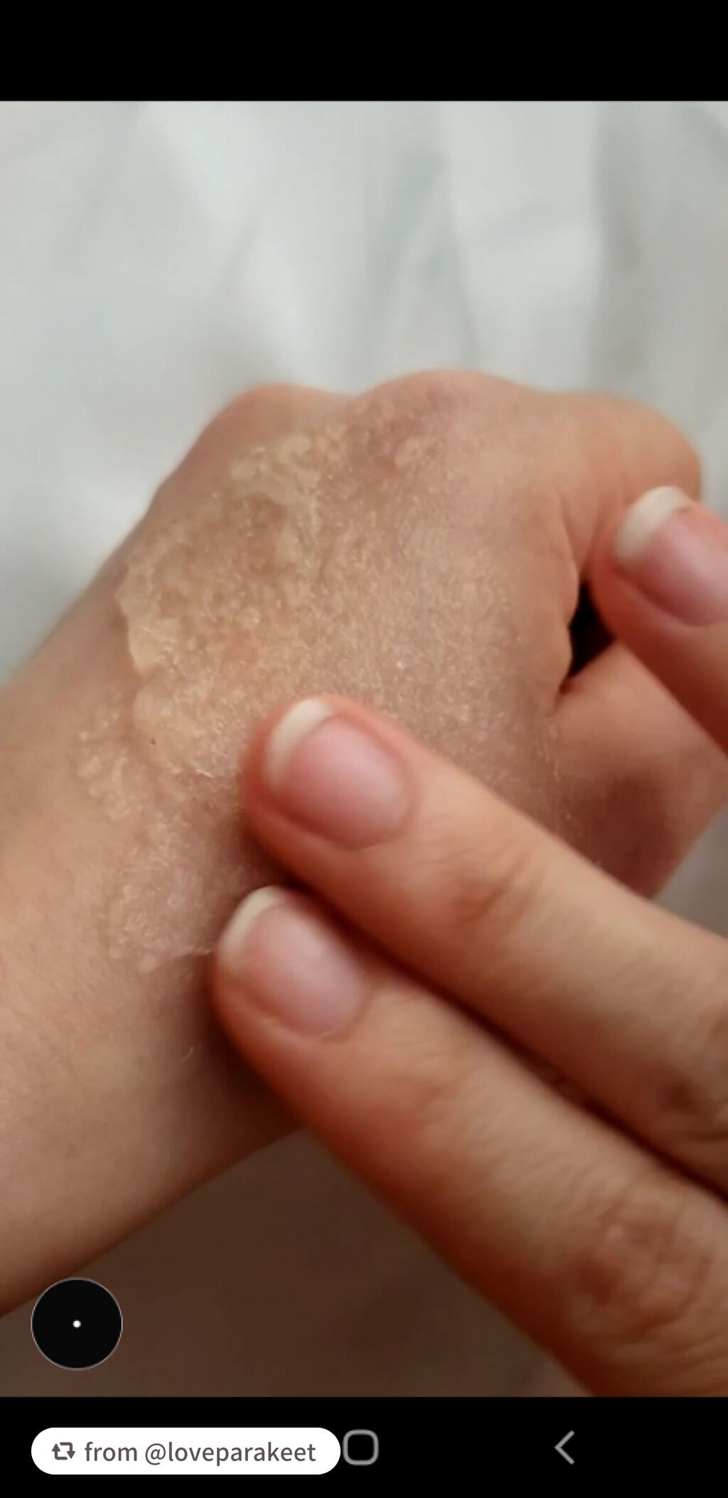 マンナンジェリーハイドロウォッシュ/PLUEST/洗顔料を使ったクチコミ(2枚目)