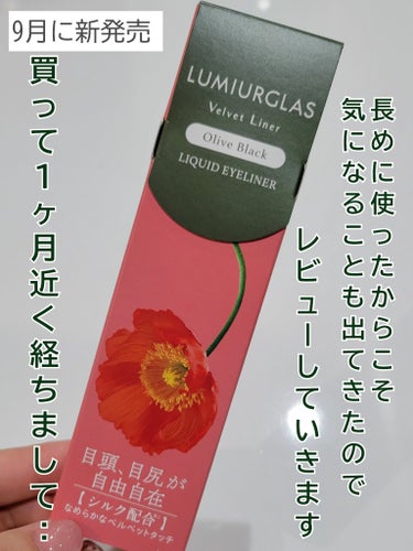 スキルレスライナー/LUMIURGLAS/リキッドアイライナーを使ったクチコミ（2枚目）