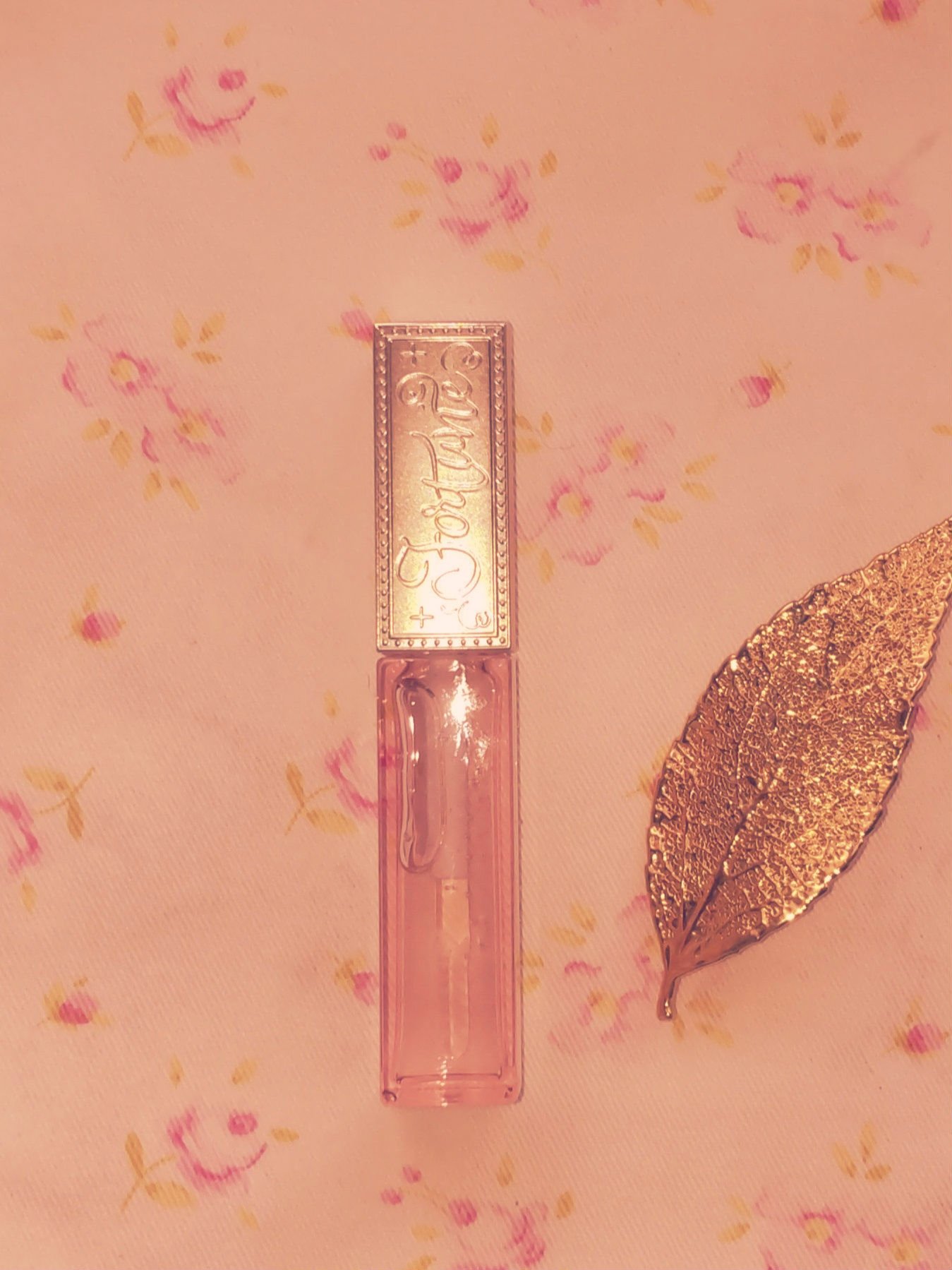 リッププランパー/フォーチュン/リッププランパーを使ったクチコミ（2枚目）