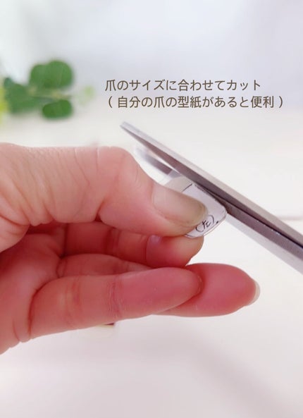 ジェルネイルシール 45689/Ms.GELLY/ネイルシールの画像