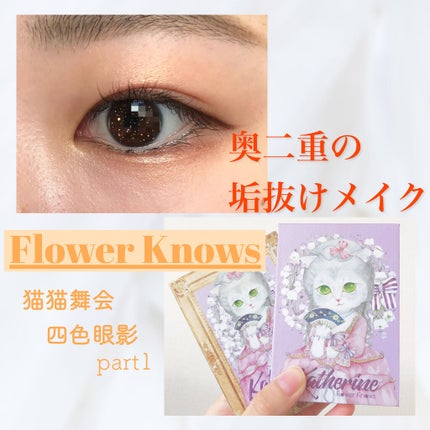 猫猫舞会四色眼影/FlowerKnows/アイシャドウパレットを使ったクチコミ(1枚目)