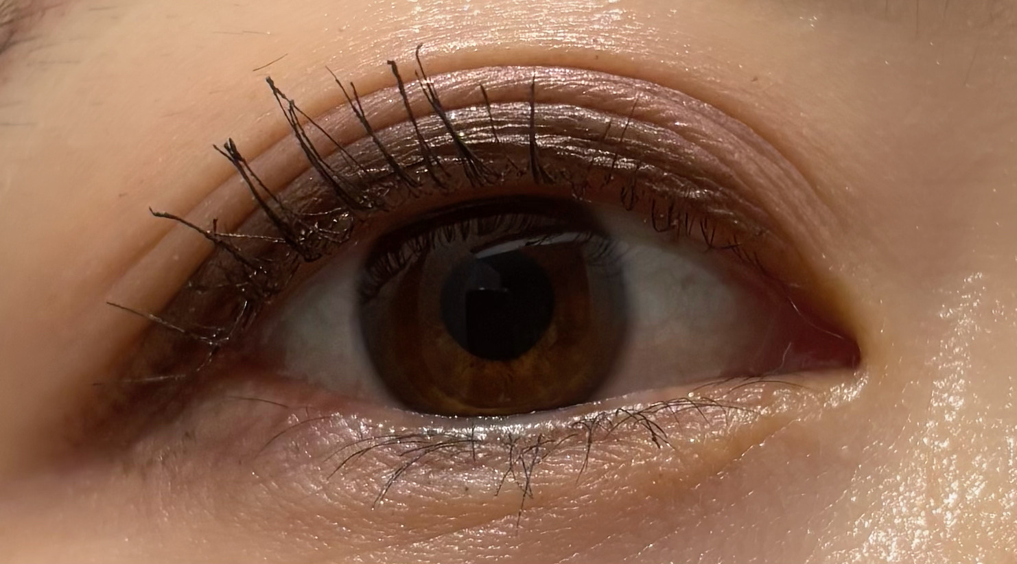 ペールトーンアイシャドウ/CEZANNE/アイシャドウを使ったクチコミ（3枚目）