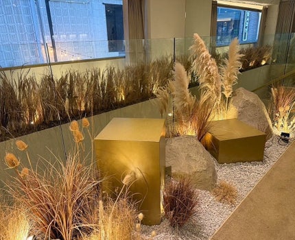 センテラ ライトクレンジングオイル/SKIN1004/オイルクレンジングを使ったクチコミ(5枚目)