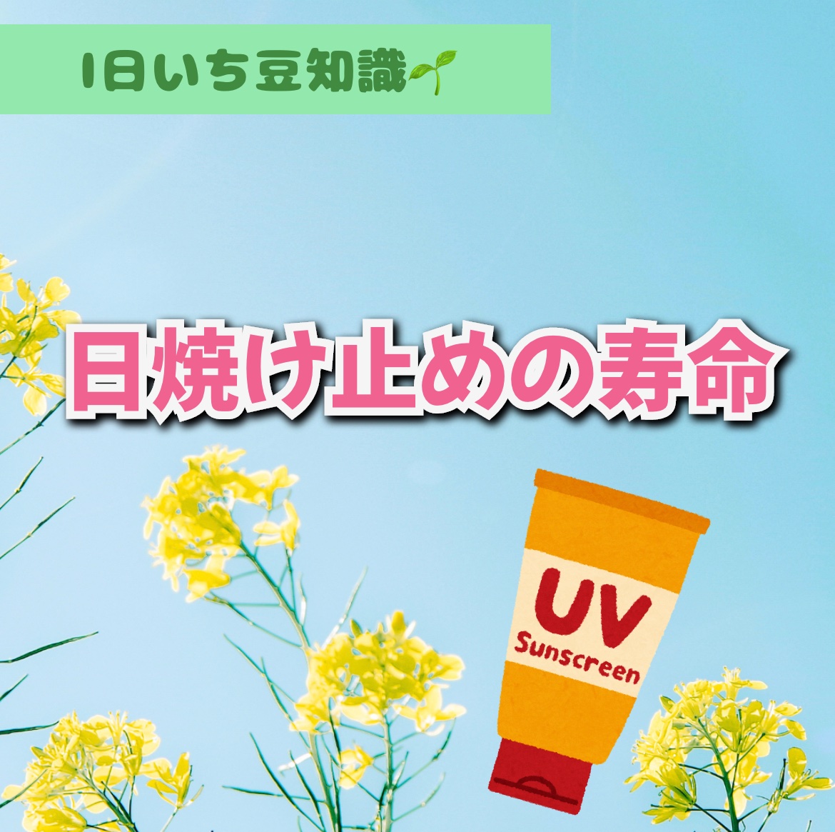 パーフェクトUV スキンケアジェル N/アネッサ/日焼け止め・UVケアを使ったクチコミ（1枚目）