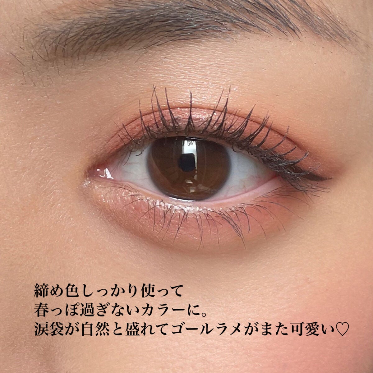 シルキースフレアイズ(マットタイプ)/キャンメイク/アイシャドウパレットを使ったクチコミ(4枚目)