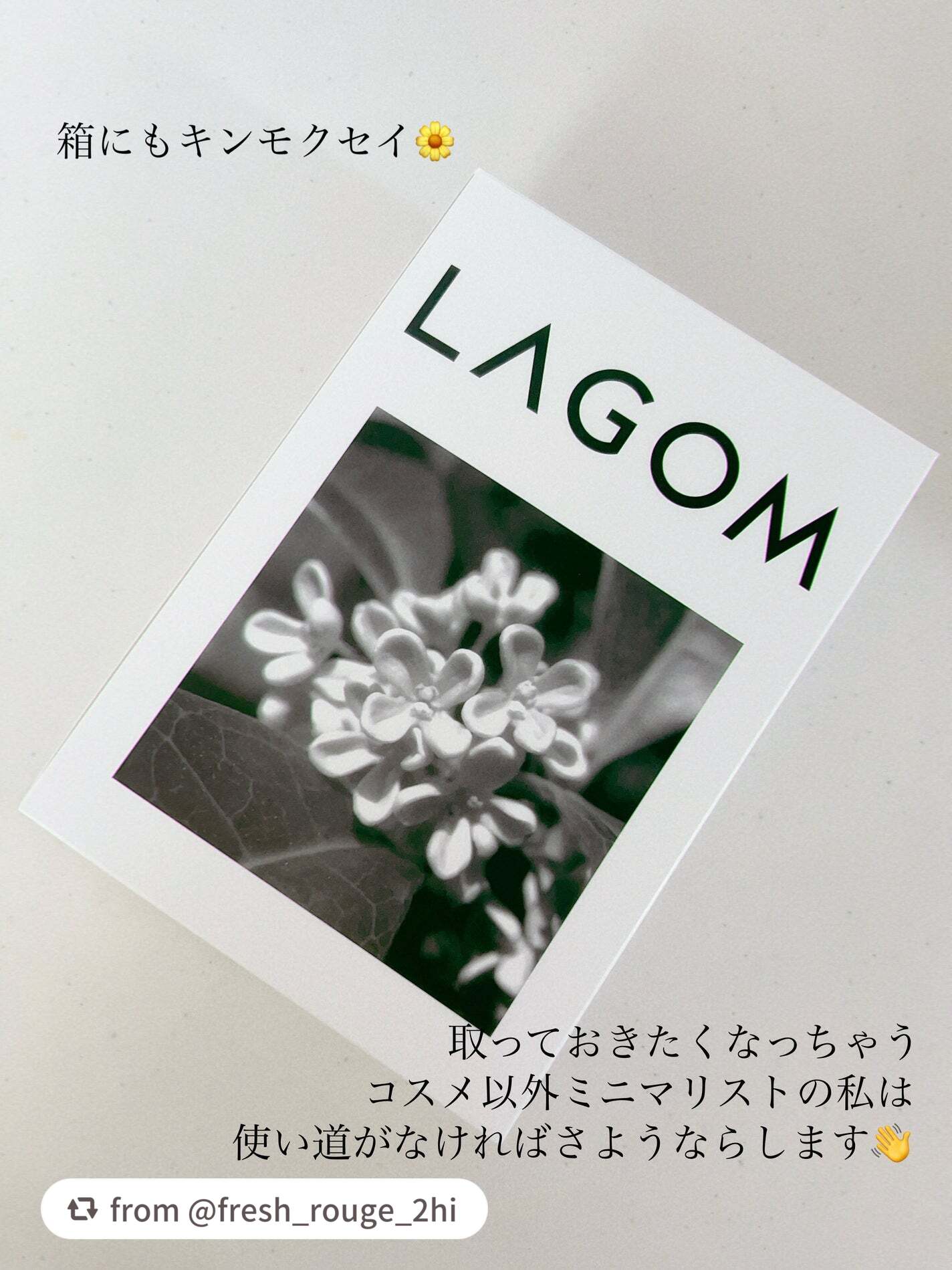 ラゴム ジェルトゥウォーター クレンザー(朝用洗顔)/LAGOM /その他洗顔料を使ったクチコミ(2枚目)