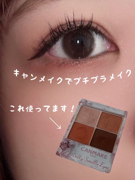 シルキースフレアイズ/キャンメイク/アイシャドウパレットを使ったクチコミ(1枚目)