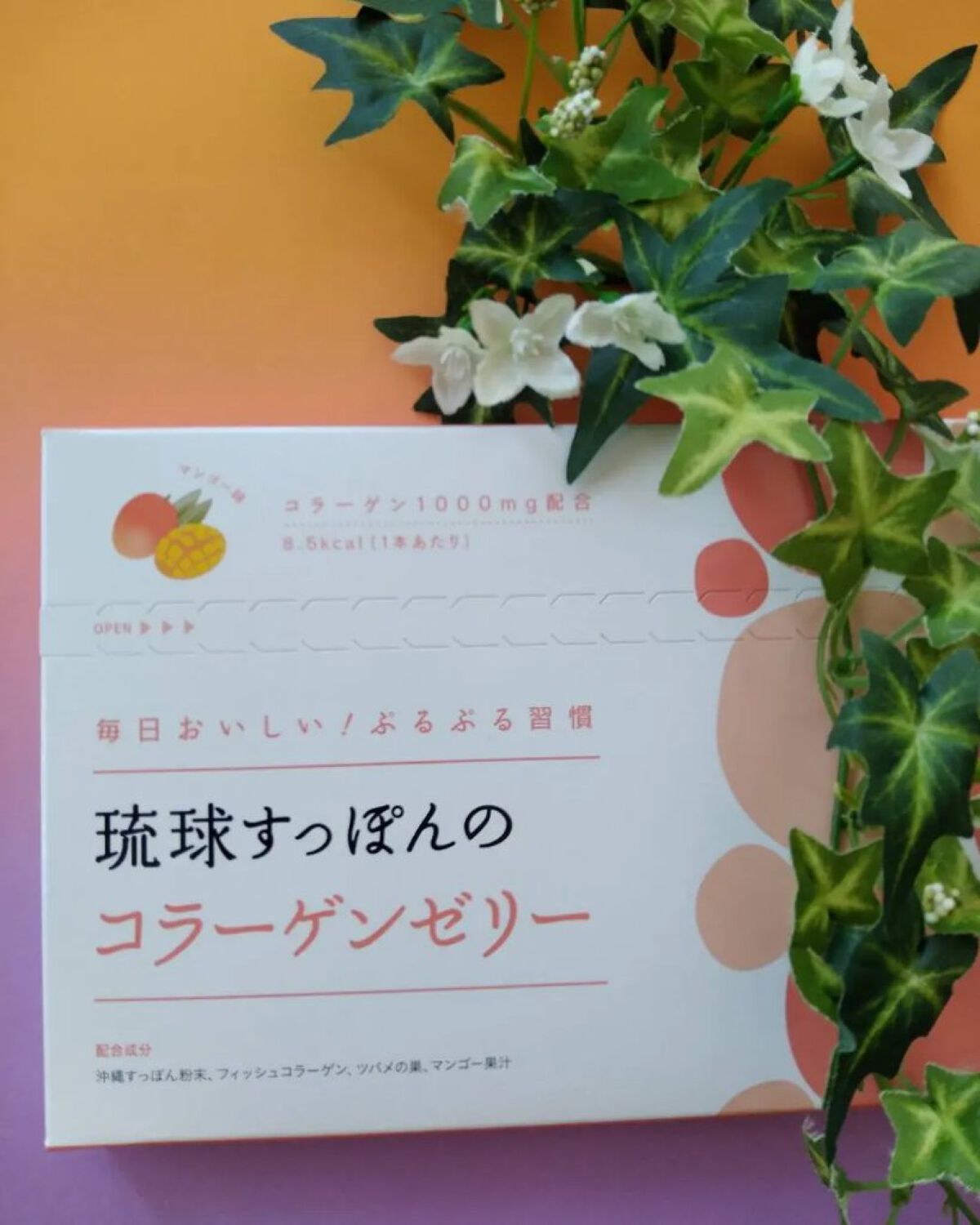 琉球すっぽんのコラーゲンゼリー/しまのや/食品を使ったクチコミ（2枚目）