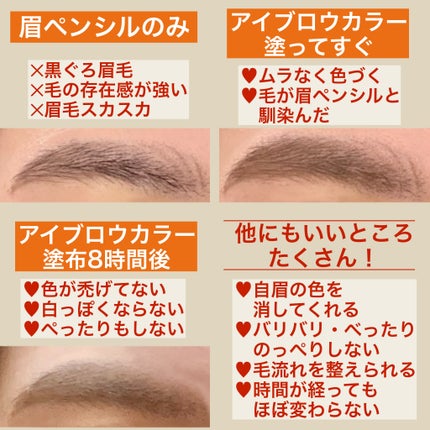 フィルム眉カラー/デジャヴュ/眉マスカラを使ったクチコミ(3枚目)