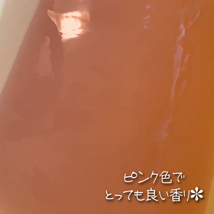 汗かきエステ気分 モイストハピネス/マックス/無機塩系入浴剤を使ったクチコミ(5枚目)