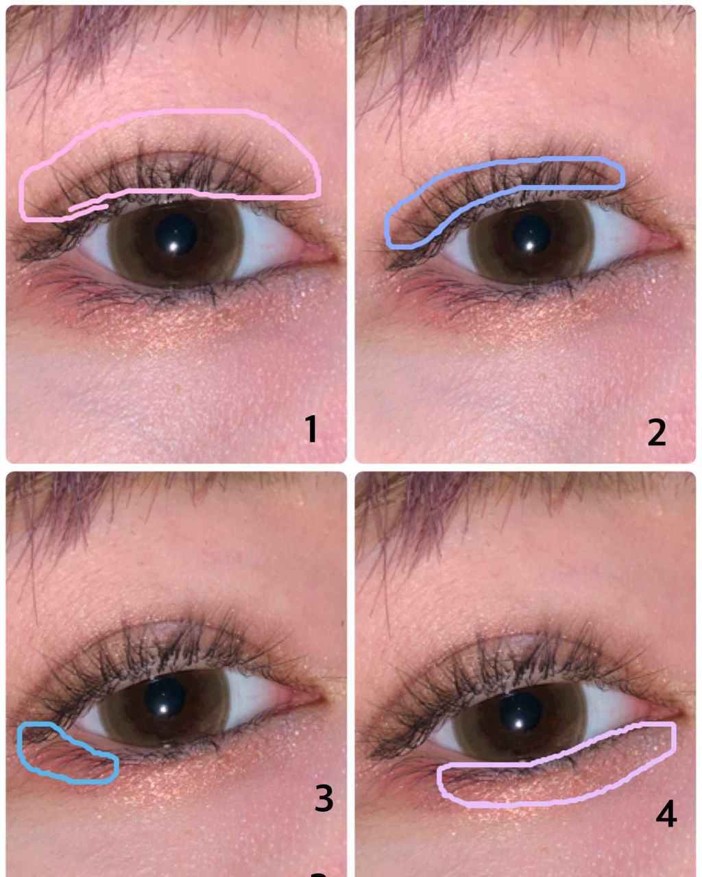 シークレットカラーアイズ/キャンメイク/アイシャドウパレットを使ったクチコミ（2枚目）