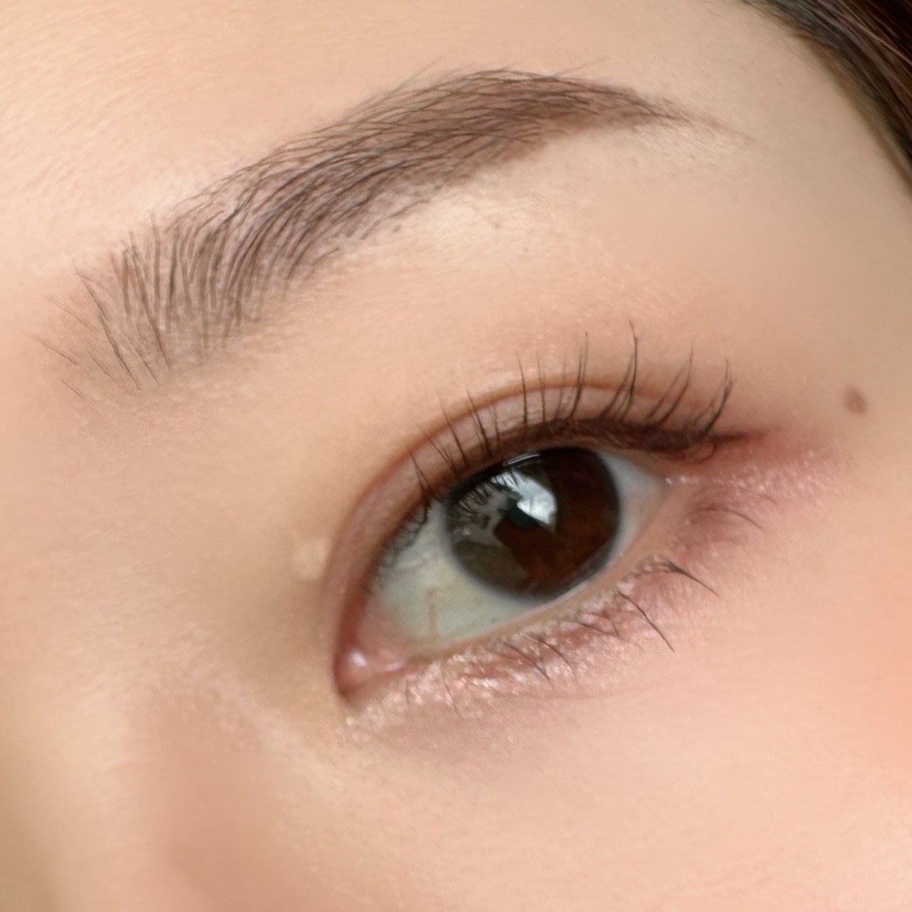 パーフェクトエクステンション マスカラ for カール/D-UP/マスカラを使ったクチコミ(6枚目)