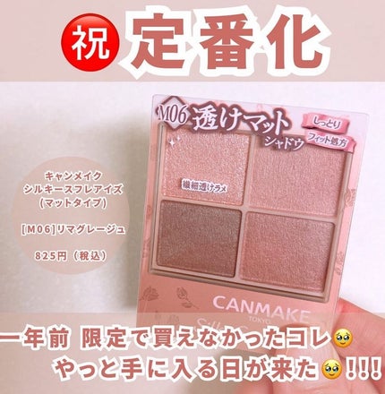シルキースフレアイズ(マットタイプ)/キャンメイク/アイシャドウパレットを使ったクチコミ(5枚目)