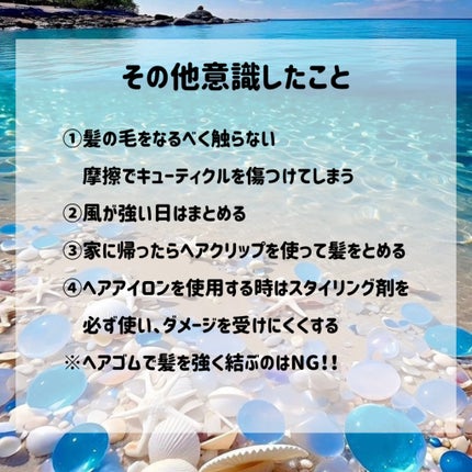 バスコーム/DAISO/ヘアコームを使ったクチコミ(6枚目)