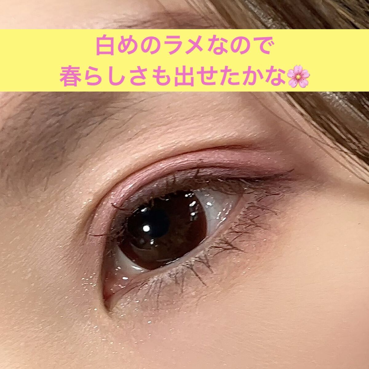 【旧】サンク クルール クチュール/Dior/アイシャドウパレットを使ったクチコミ（3枚目）